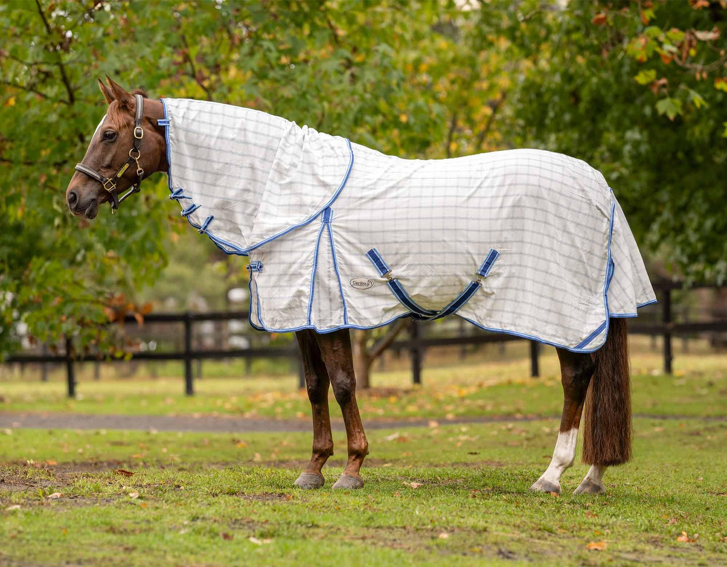 Caribu Ripstop Detach-a-Neck Horse Rug