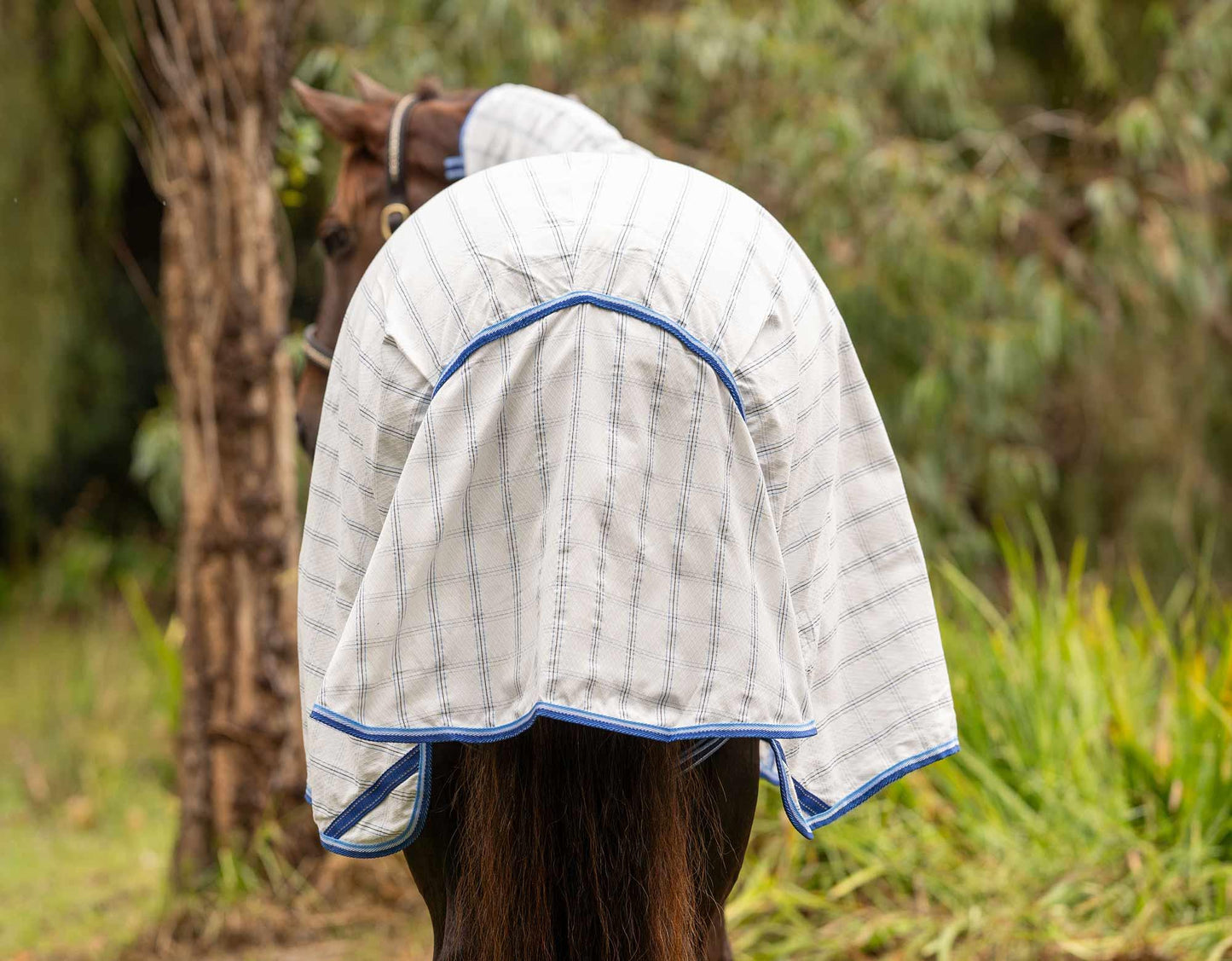 Caribu Ripstop Detach-a-Neck Horse Rug
