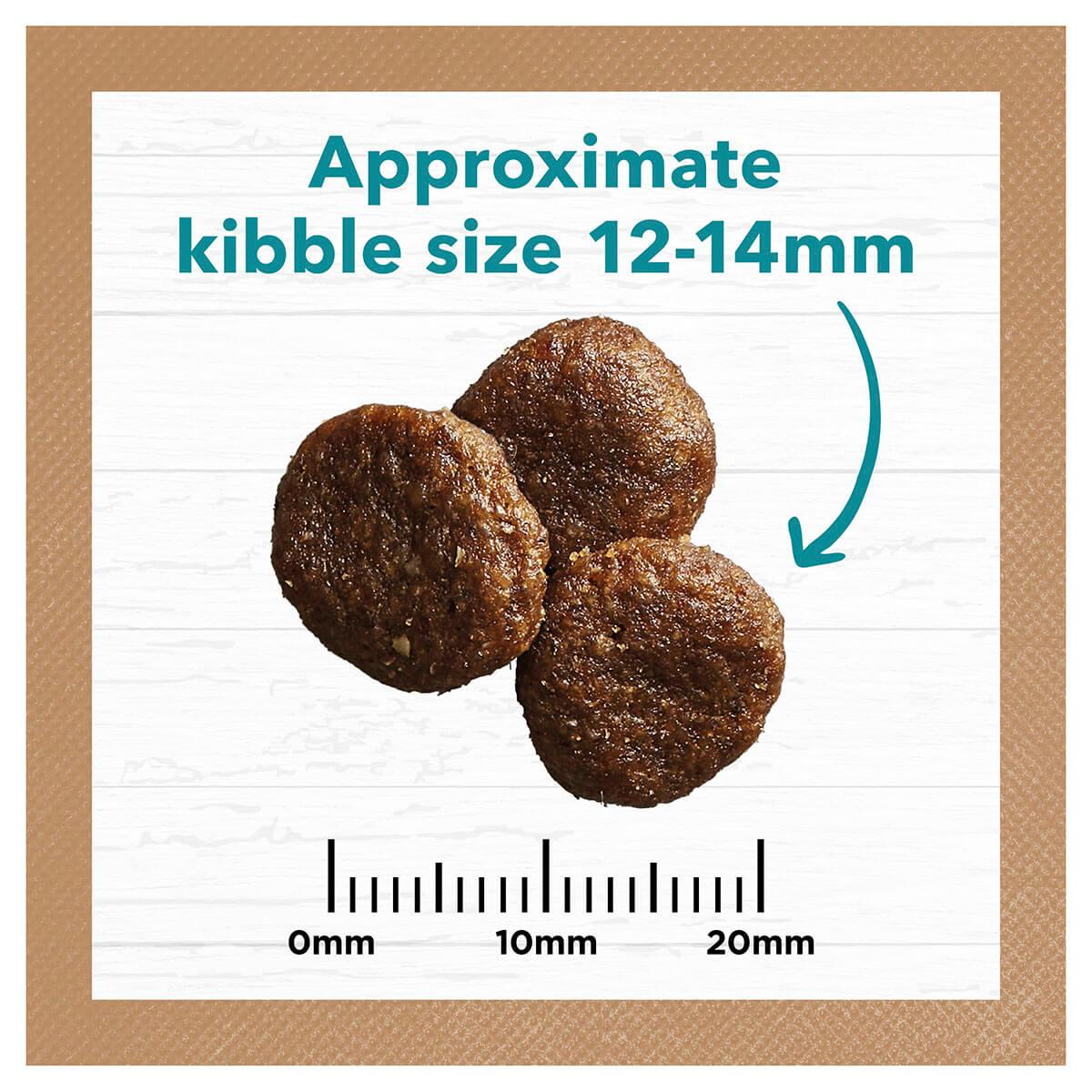 Ivory Coat Salmon & Ocean Fish Grain Free Adult Dry Dog Food