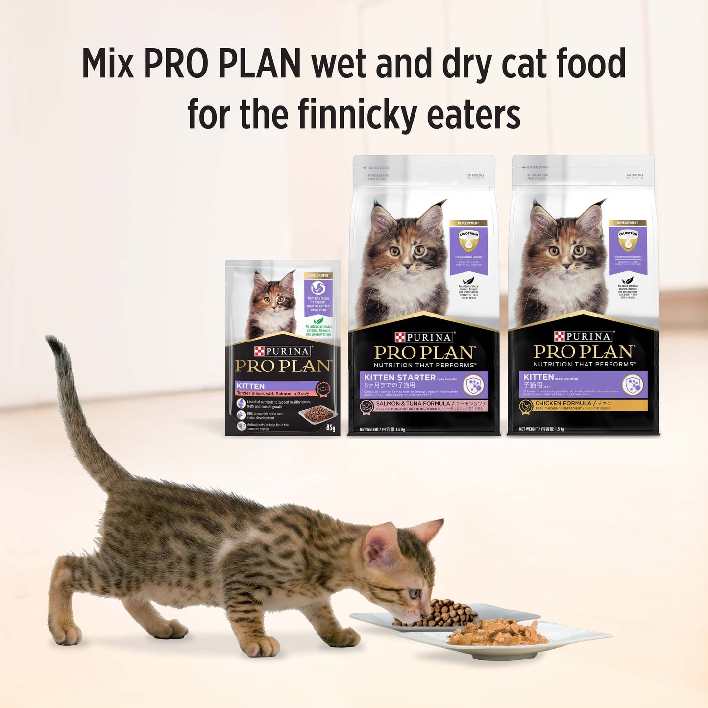 Pro Plan Kitten Salmon Gravy Pouch Wet Cat Food 85g