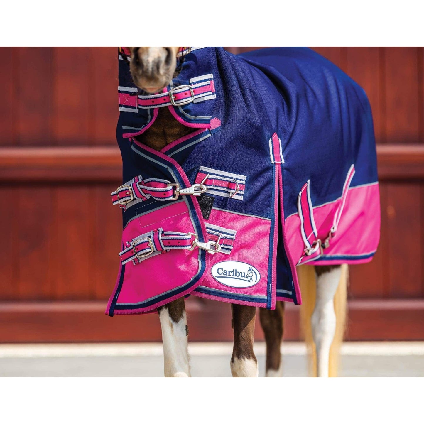Caribu Mini Alpine Combo Horse Rug 200g