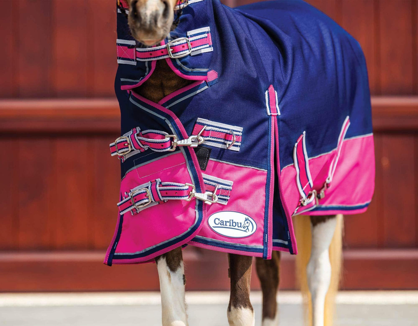 Caribu Mini Alpine Combo Horse Rug 200g