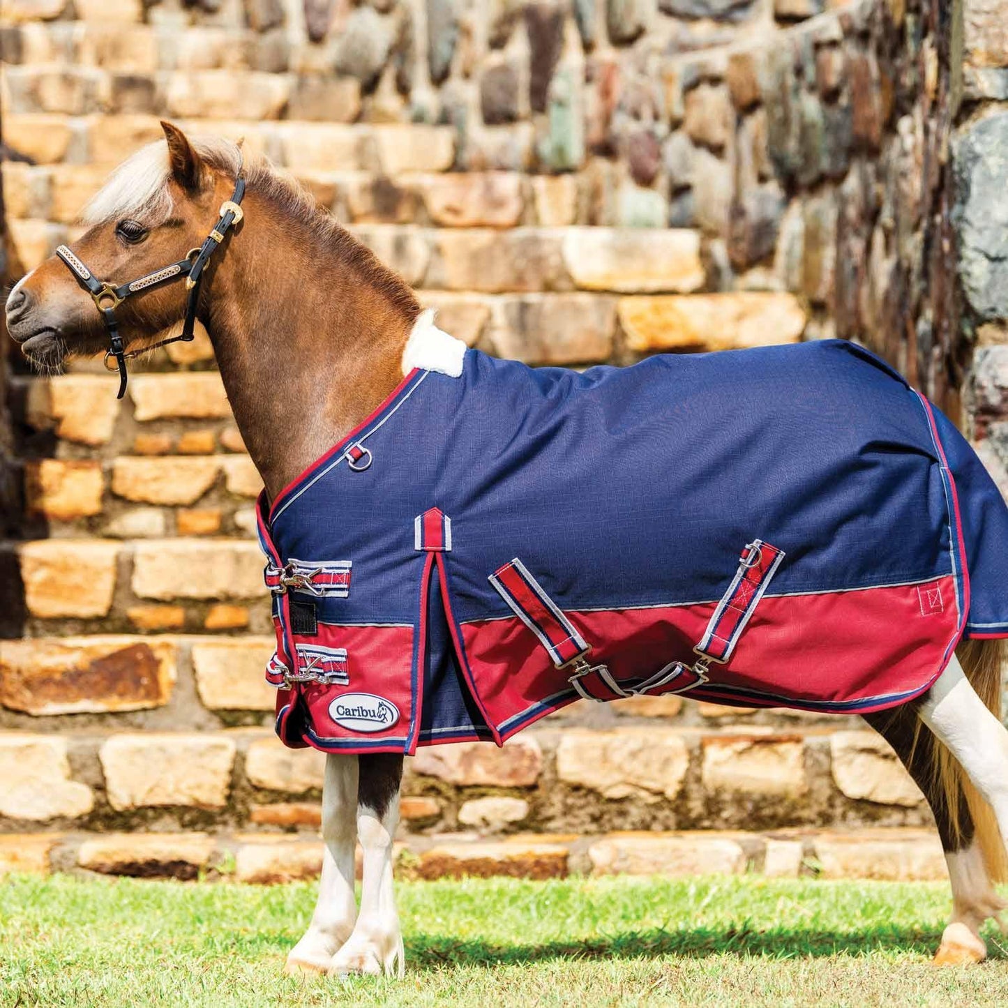 Caribu Mini Alpine Horse Rug 200g