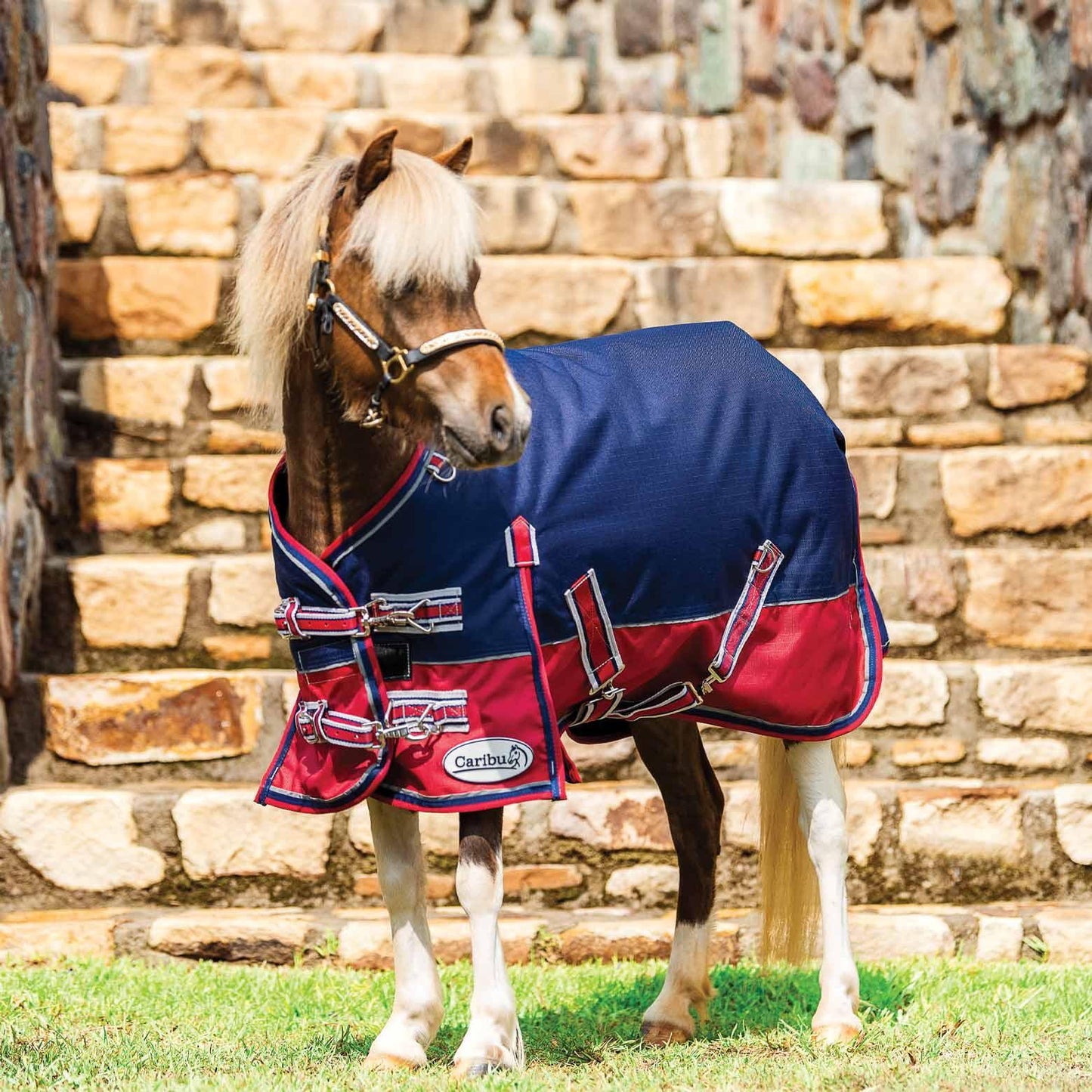 Caribu Mini Alpine Horse Rug 200g