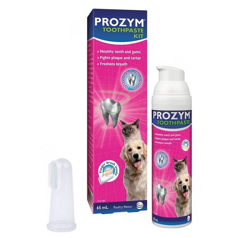 Prozym Dental Toothpaste Kit 65ml