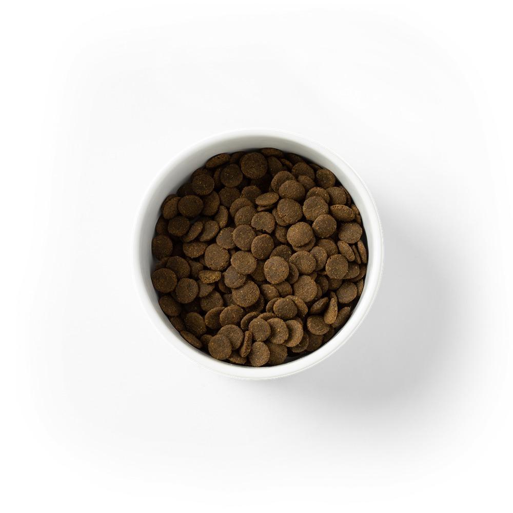 Savourlife Grain Free Australian Kangaroo & Chicken Dry Dog Food