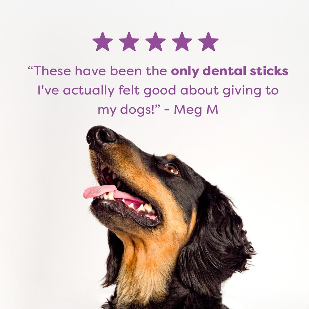 Bell & Bone Roo & Turmeric Dental Sticks Dog Treats