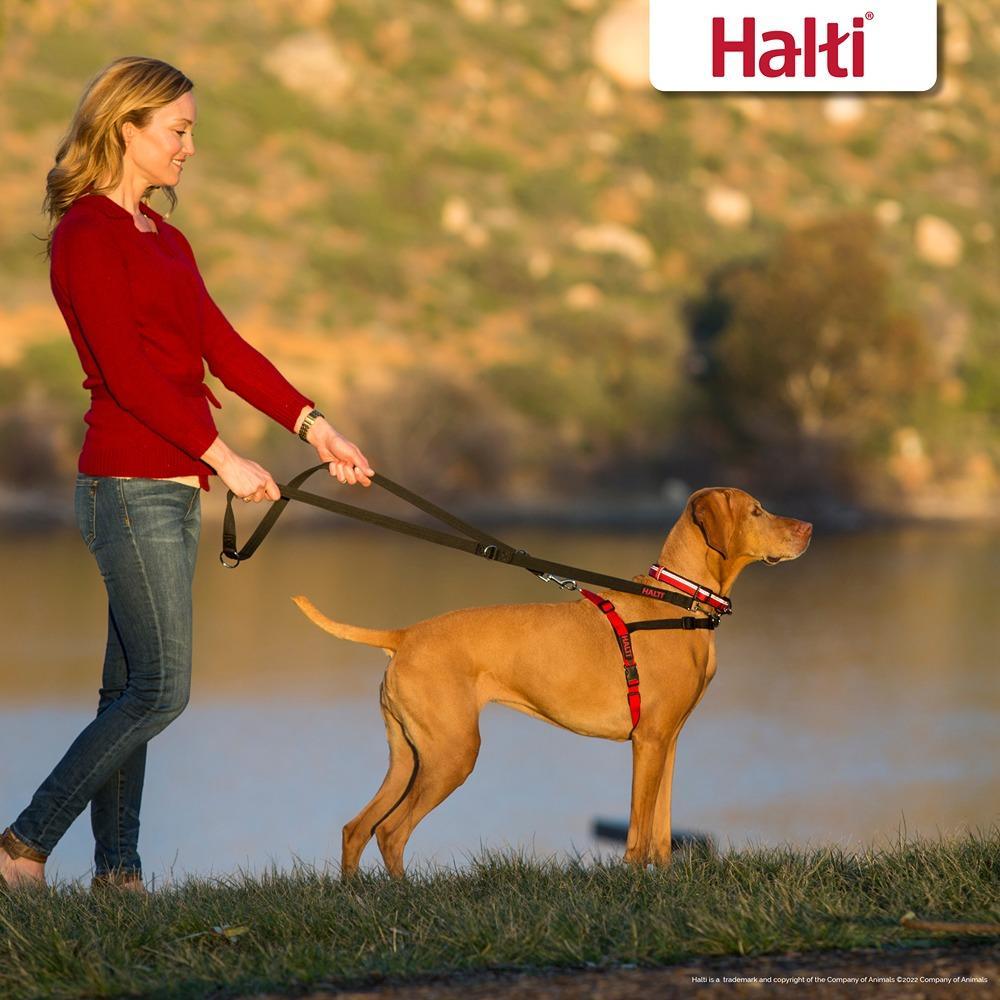 Halti Front Control Harness Black/Red