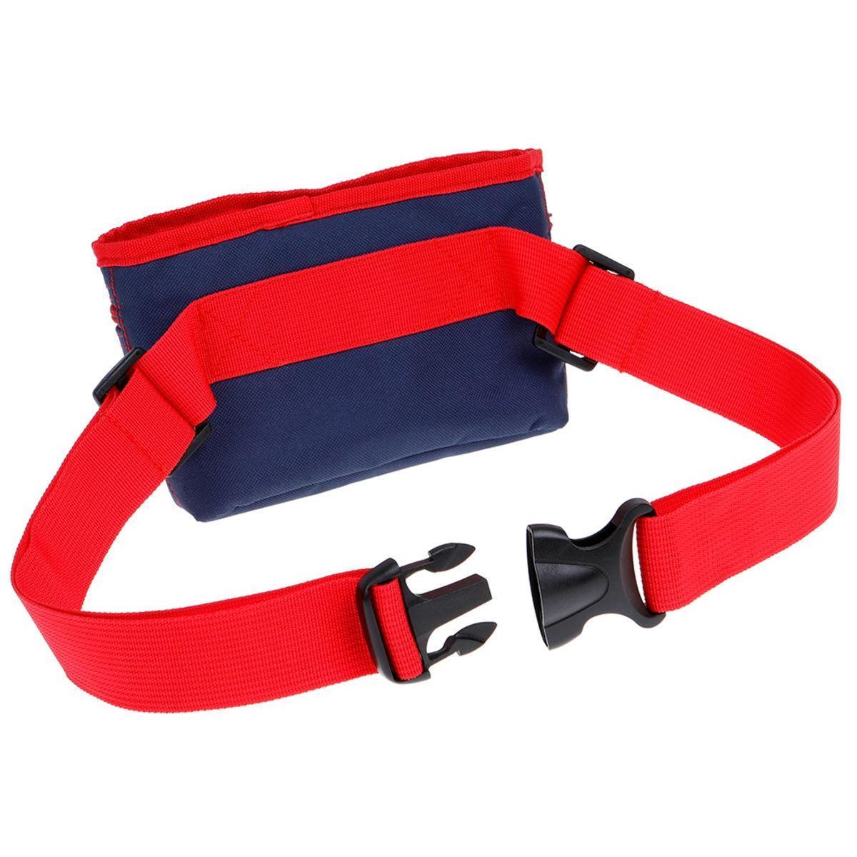 DOOG Treat & Training Pouch
