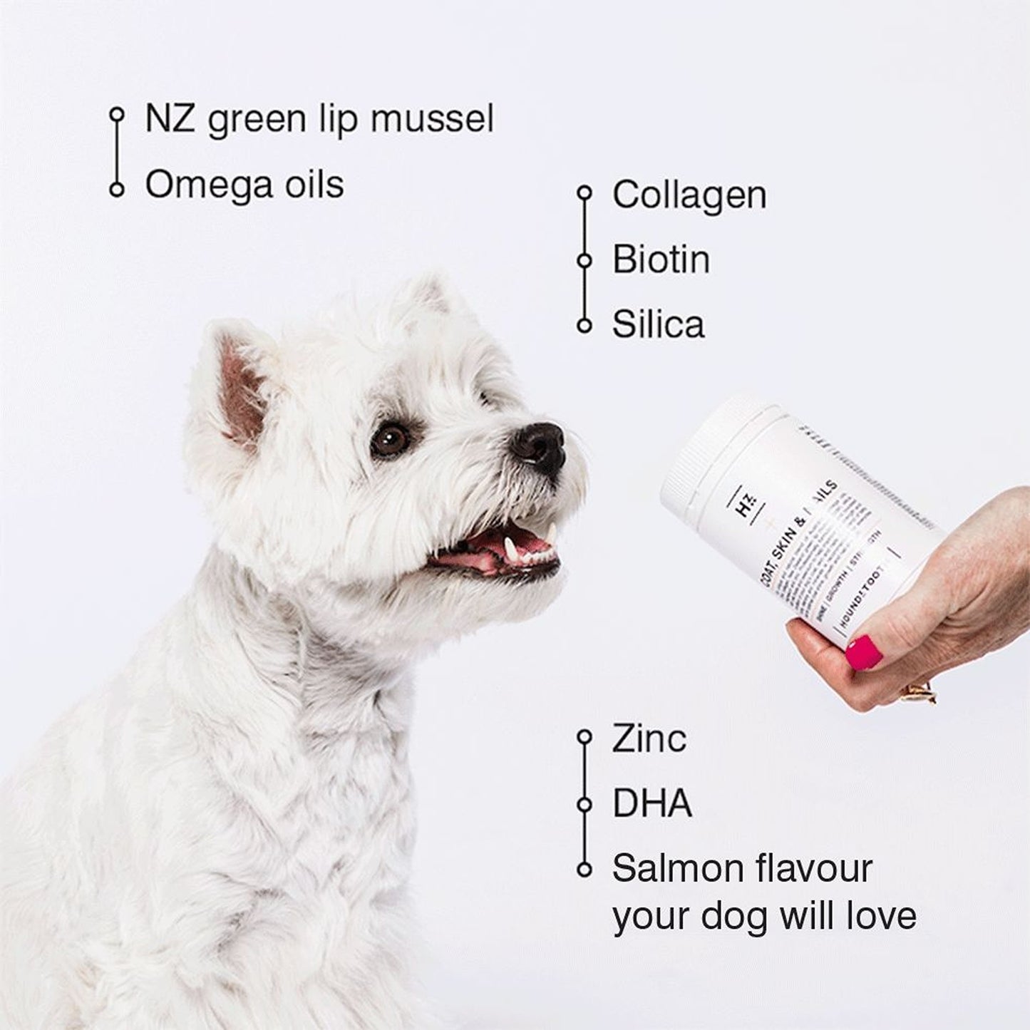 HoundzTooth Skin, Coat & Nails for Dogs 200g