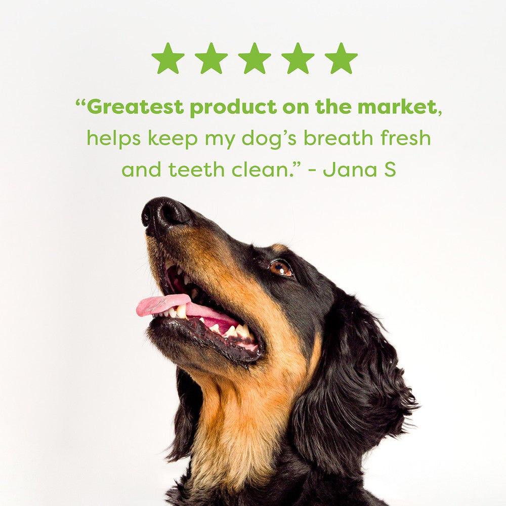 Bell & Bone Chicken, Mint & Seaweed Dental Stick Dog Treats