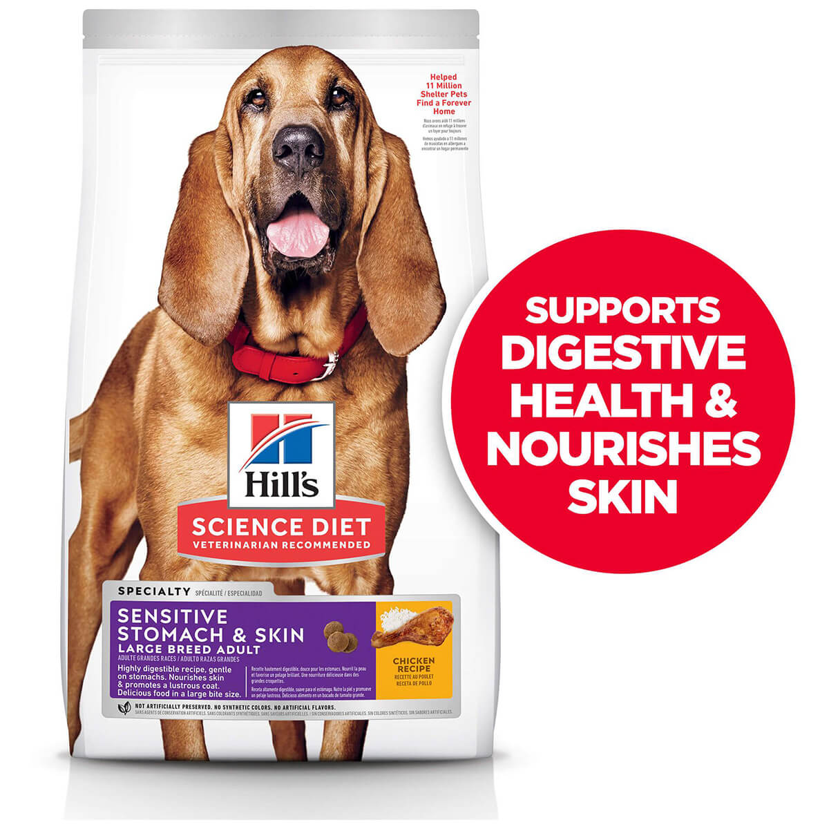 Hill's Science Diet Large Breed Sensitive Stomach & Skin Adult Dry Dog Food