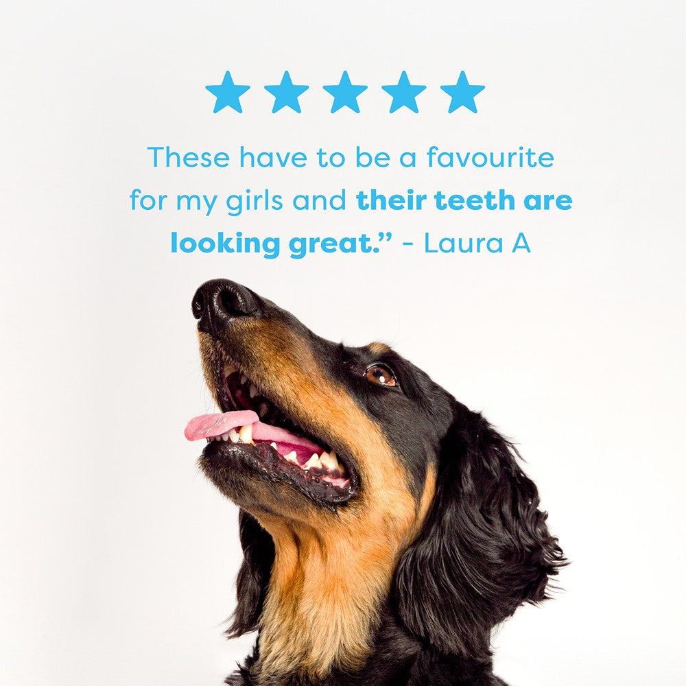 Bell & Bone Lamb, Mint & Manuka Honey Dental Sticks Dog Treats