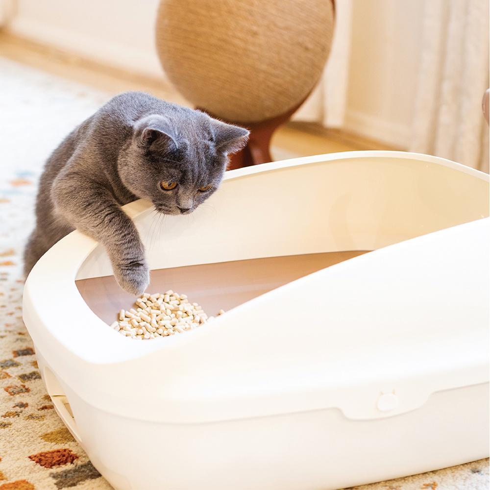 Ezi-Lock Odour Starter Kit Dual Layer Cat Litter Tray
