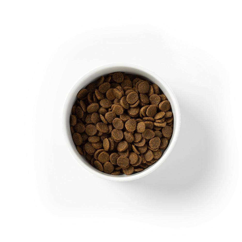 Savourlife Grain Free Puppy Large Breed Chicken Dry Dog Food 15kg