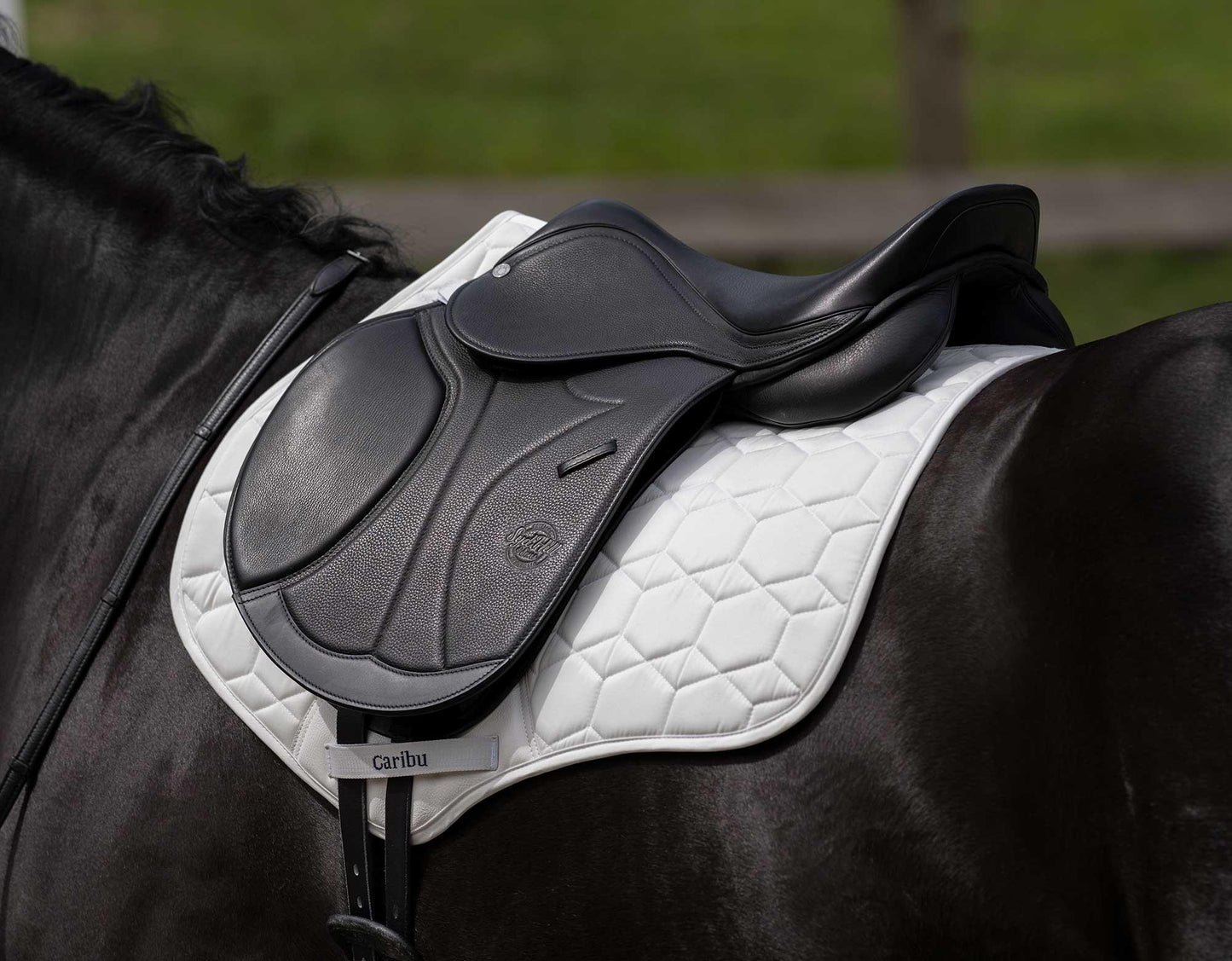 CARIBU Cotton Jump Saddle Pad