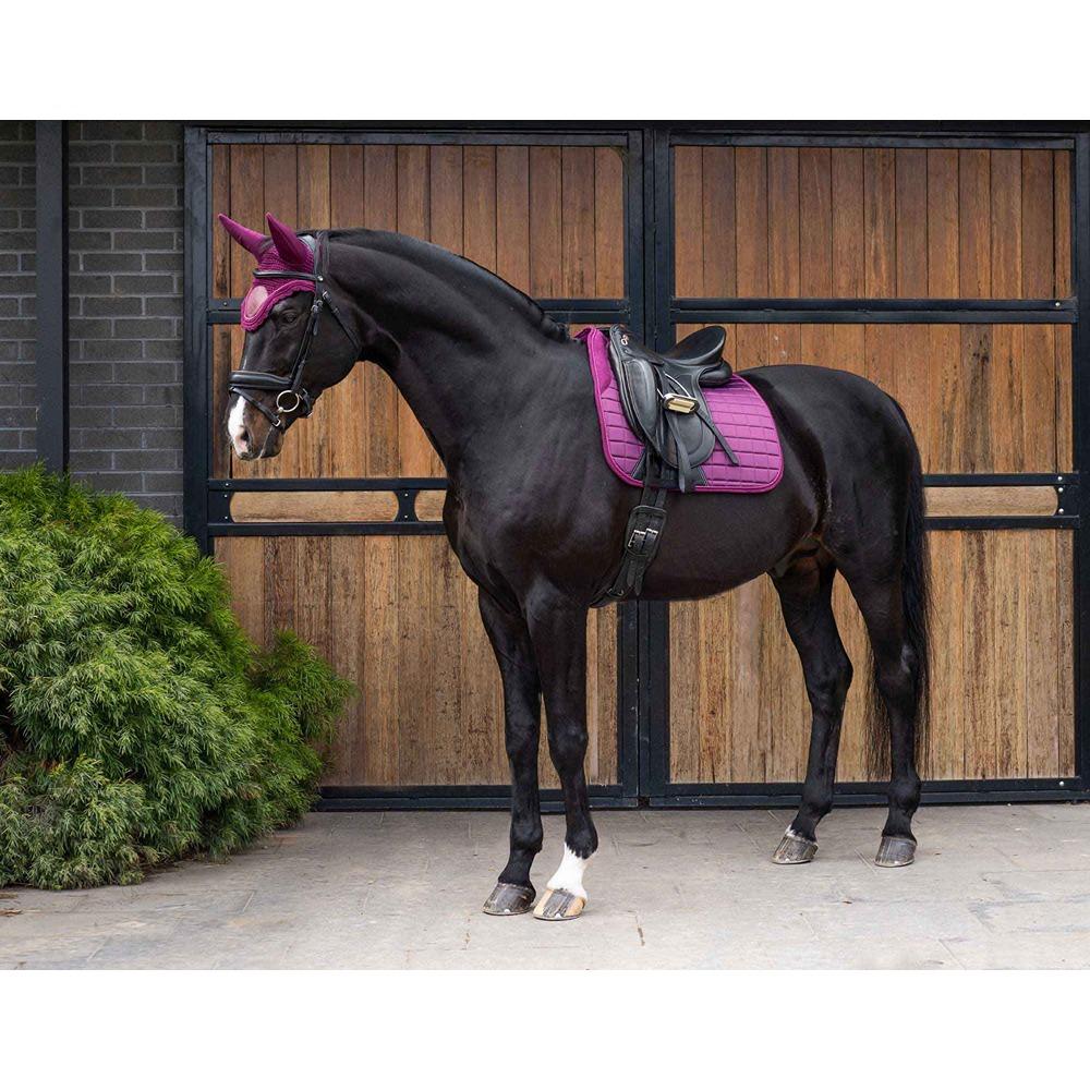 Caribu Sound Reduction Horse Bonnet