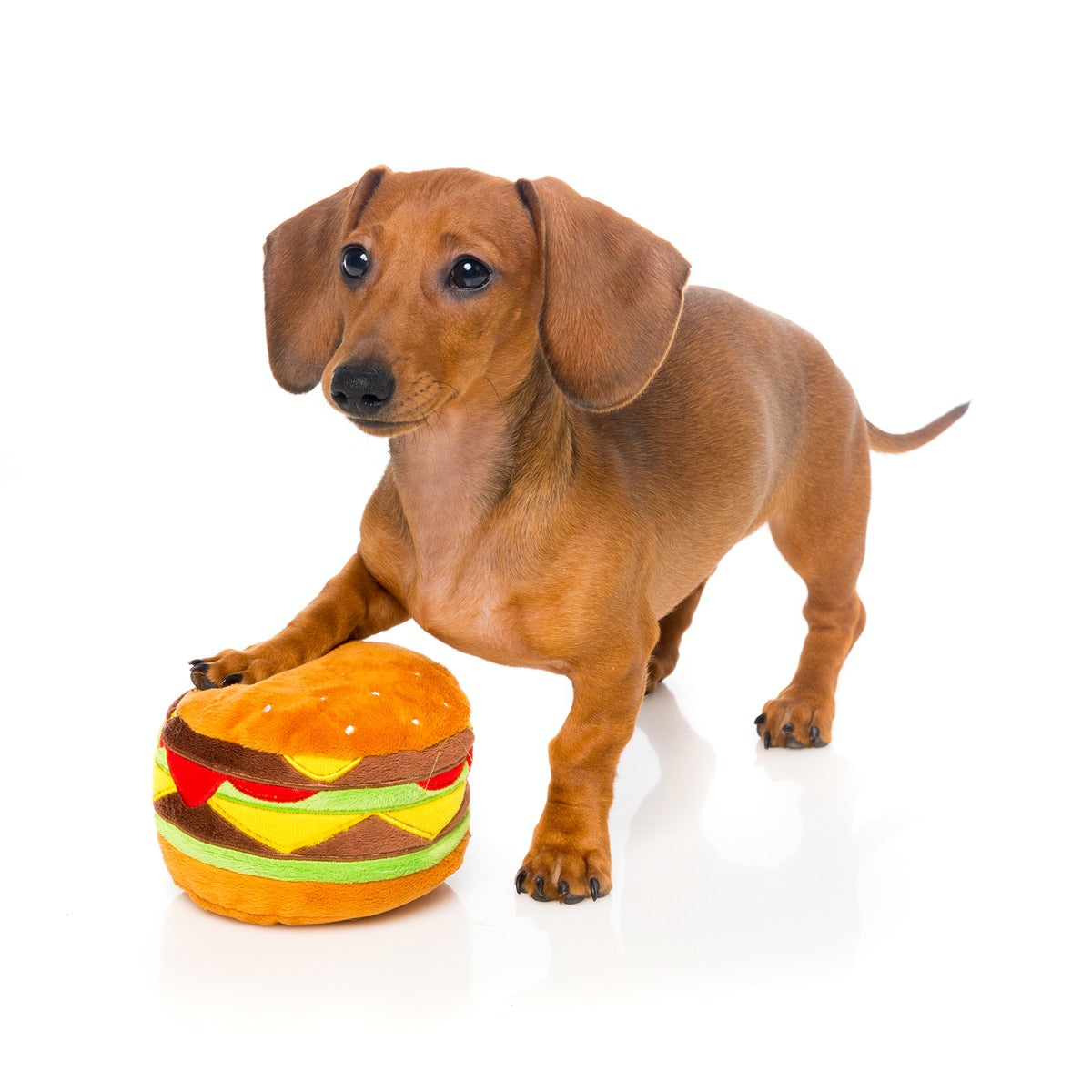 FuzzYard Junk Food Burger Plus Dog Toy