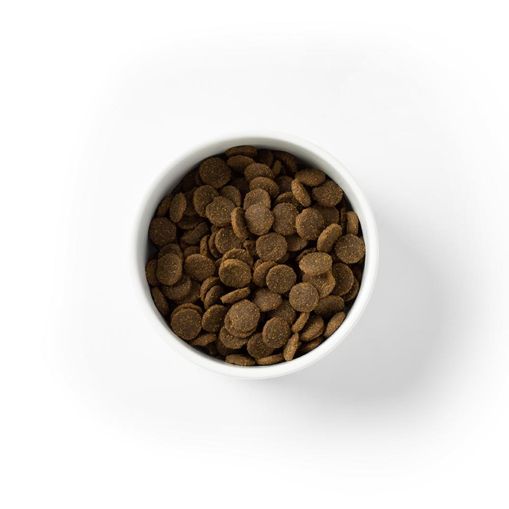 Savourlife Grain Free Adult Large Breed Fish Dry Dog Food 15kg