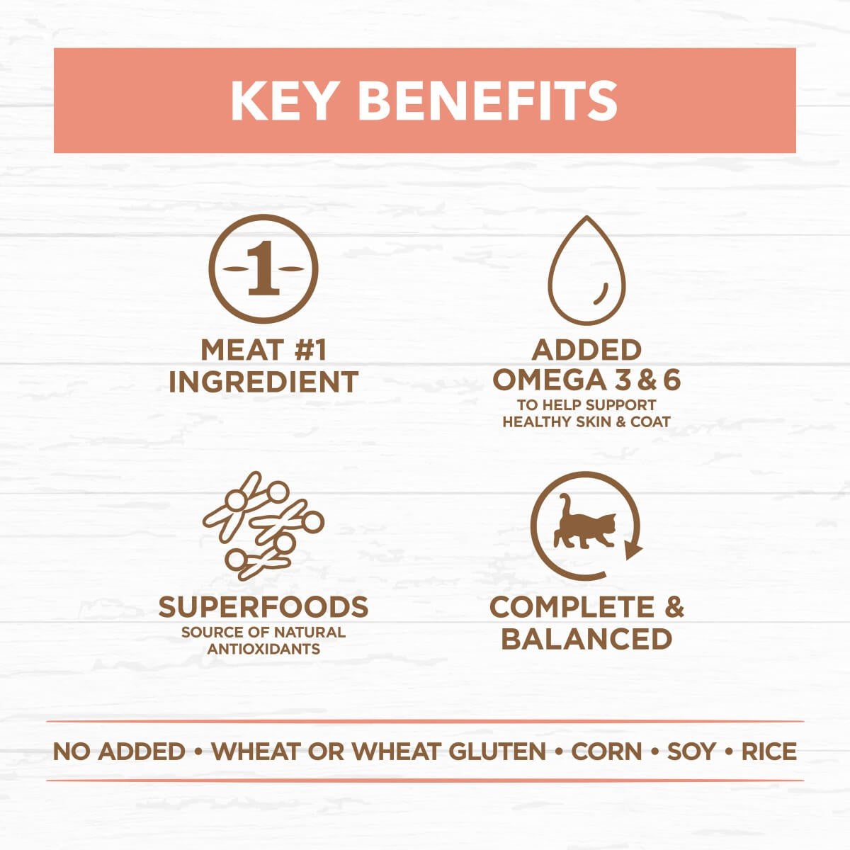 Ivory Coat Kitten Chicken with Beef Wet Cat Food