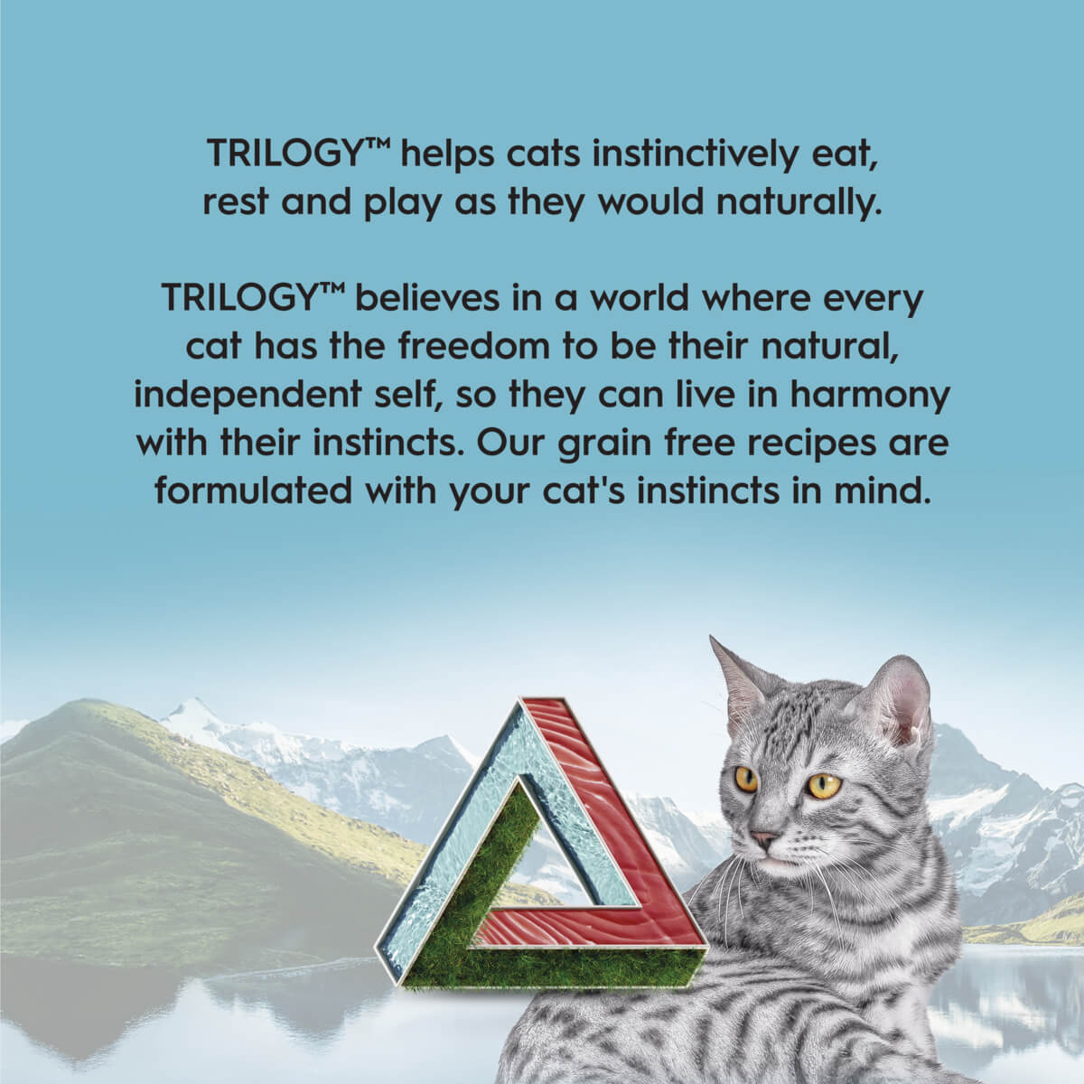 Trilogy Adult Wild Caught Tuna in Bone Broth Wet Cat Food 85g