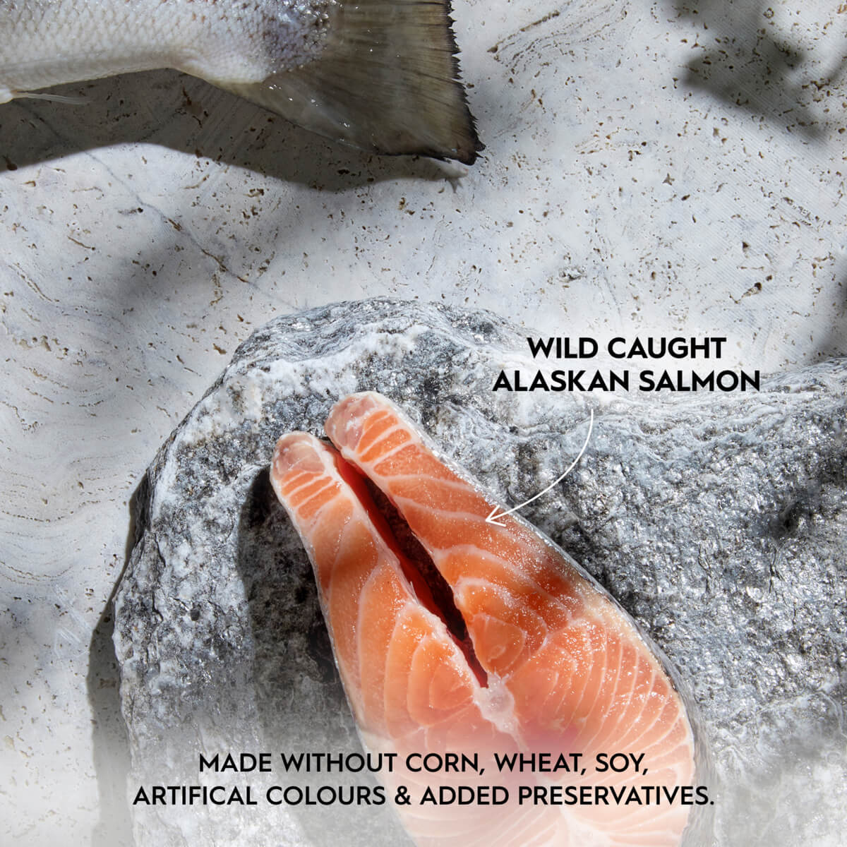Trilogy Adult Wild Alaskan Salmon in Bone Broth Wet Cat Food 85g