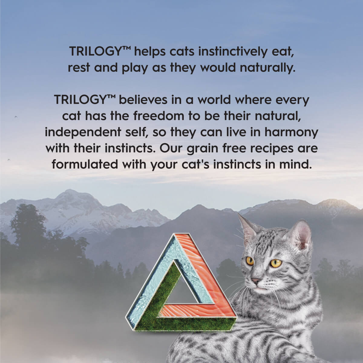 Trilogy Adult Wild Alaskan Salmon in Bone Broth Wet Cat Food 85g
