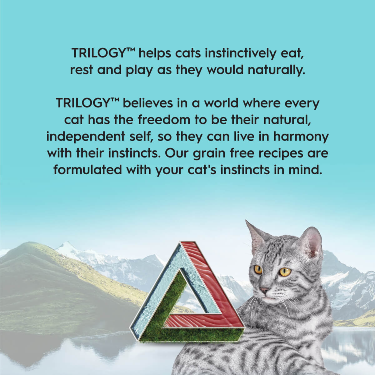 Trilogy Kitten Tuna in Bone Broth Wet Cat Food 85g