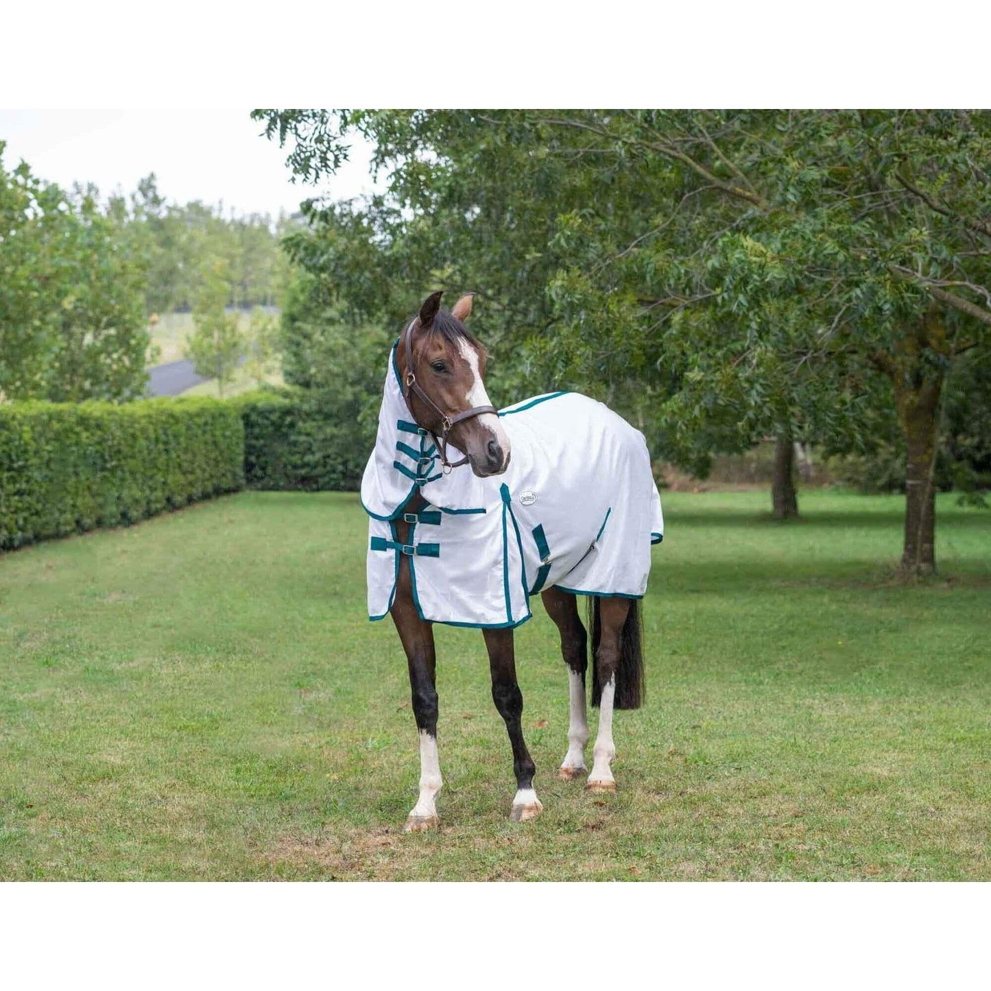 Caribu 410 Mesh Horse Rug Combo
