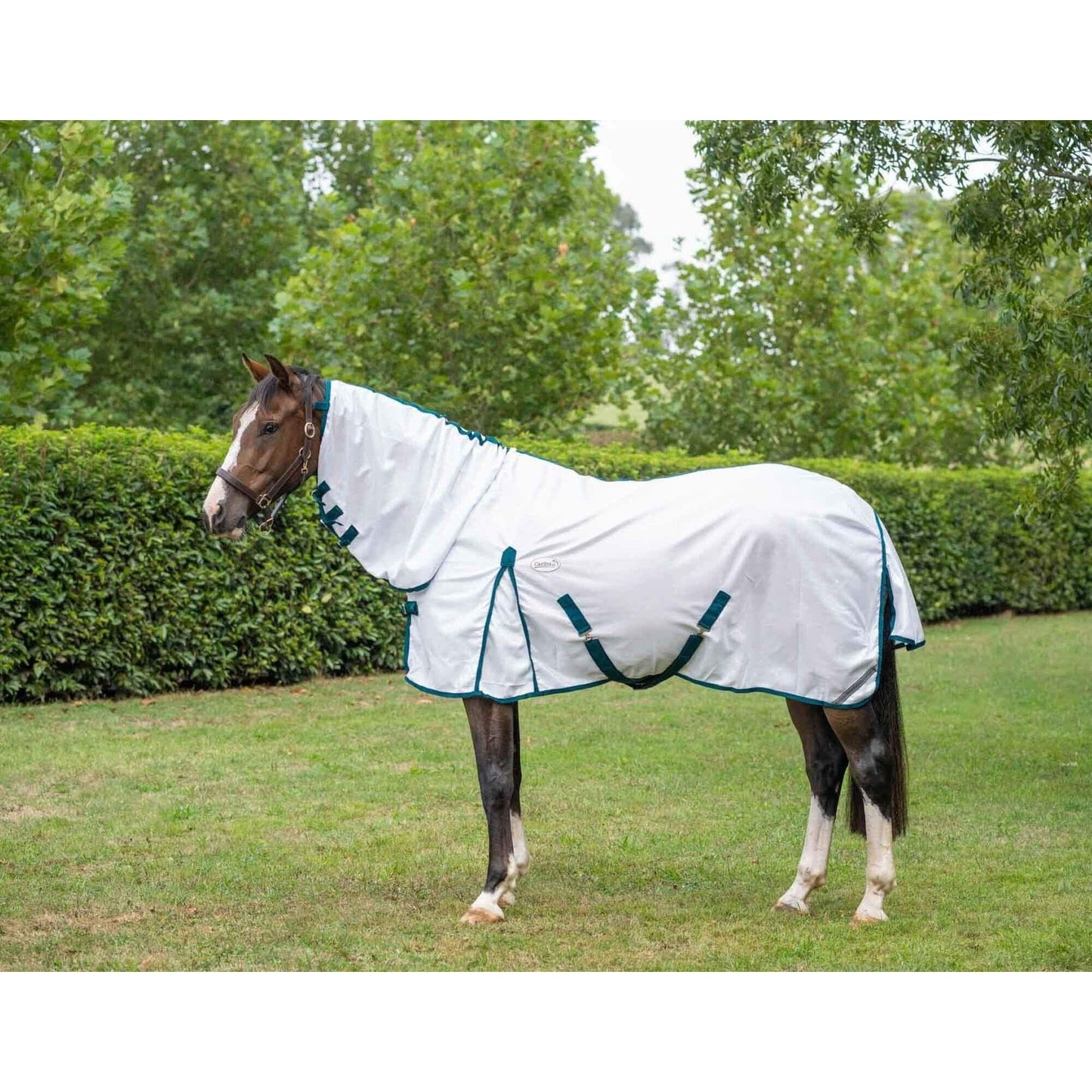 Caribu 410 Mesh Horse Rug Combo