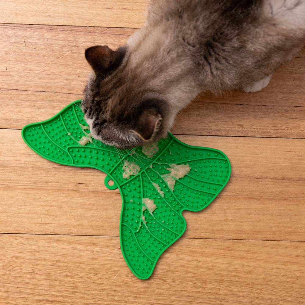 Petstock Foundation Cat Boredom Buster Butterfly