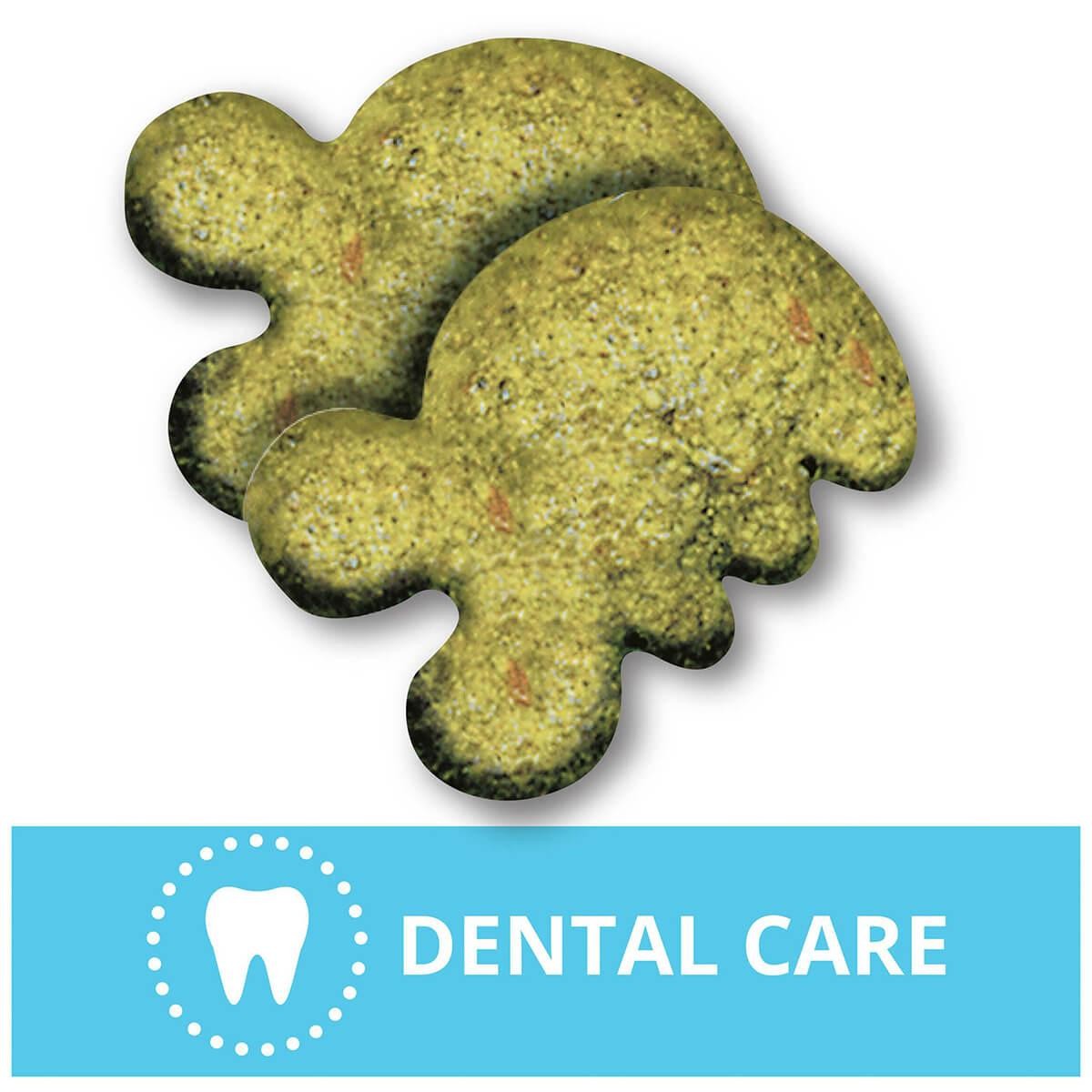 Greenies Catnip Feline Dental Cat Treats