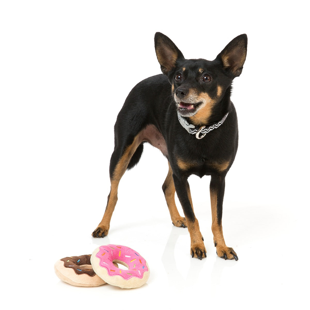 FuzzYard Donut Dog Toy