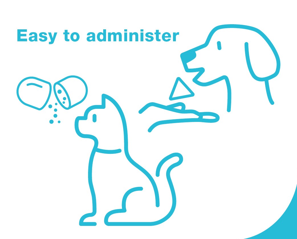 Zylkene Capsules 450mg For Dogs 15-60kg 30pk