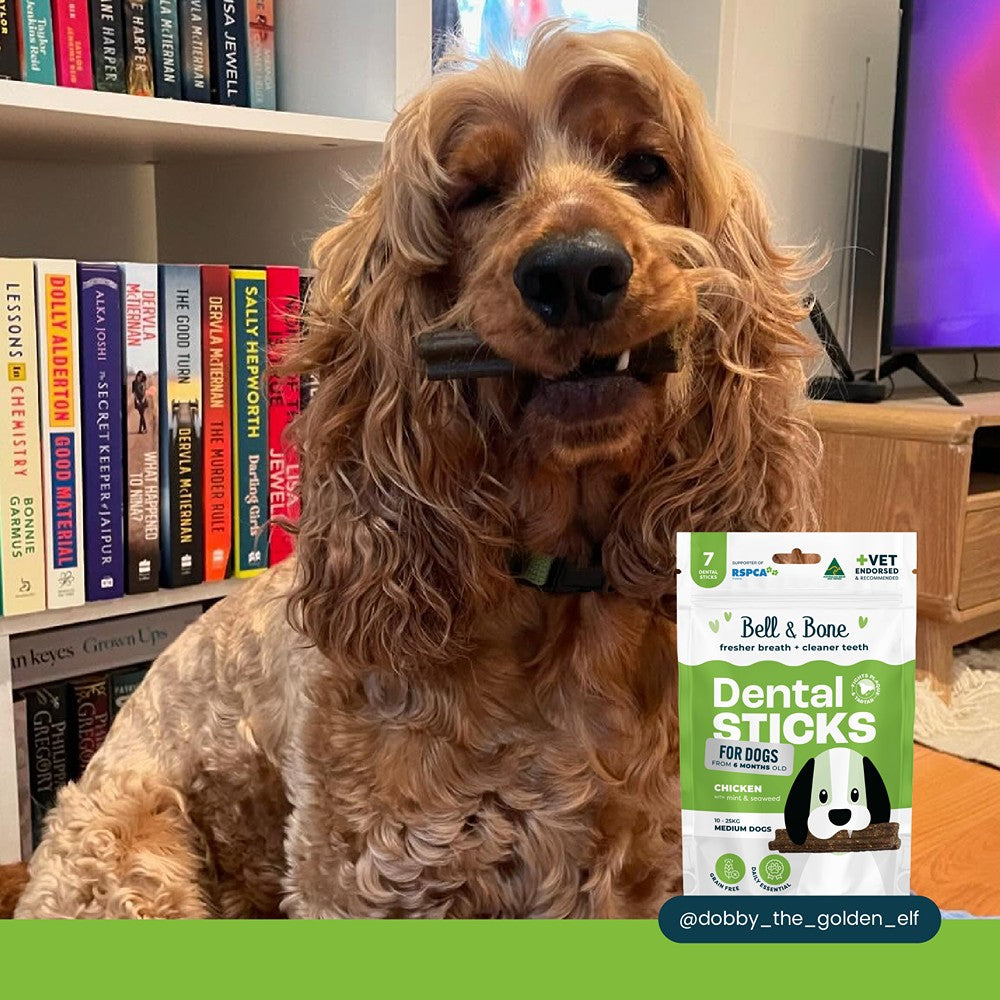 Bell & Bone Chicken Dental Stick 1pk