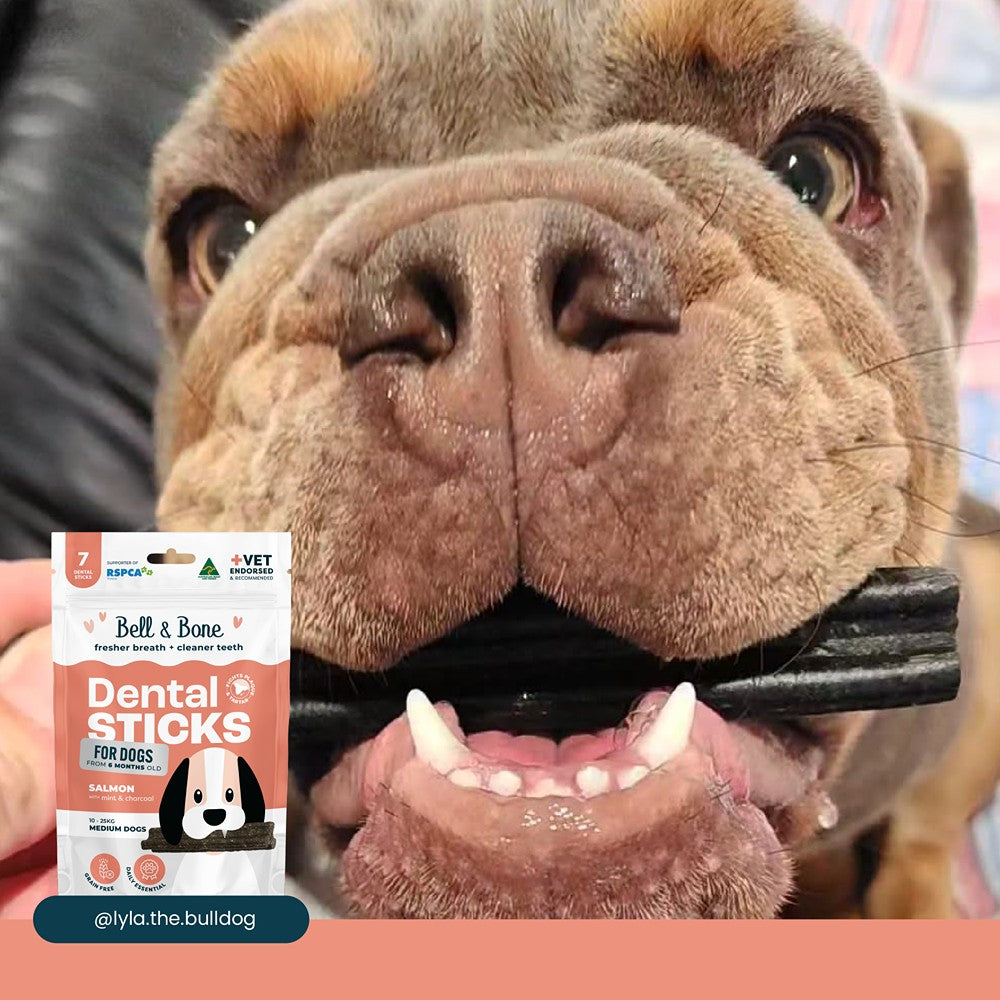 Bell & Bone Salmon Dental Stick 1pk