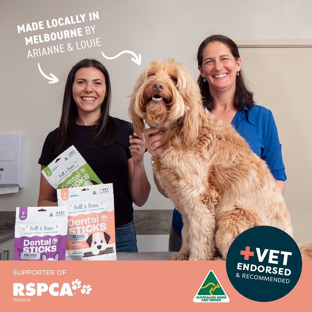 Bell & Bone Salmon Dental Stick 1pk