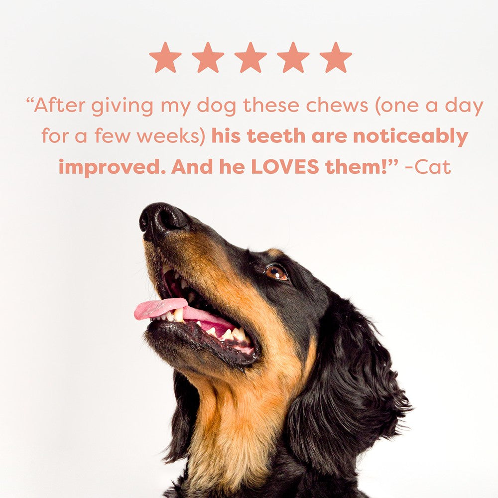 Bell & Bone Salmon Dental Stick 1pk