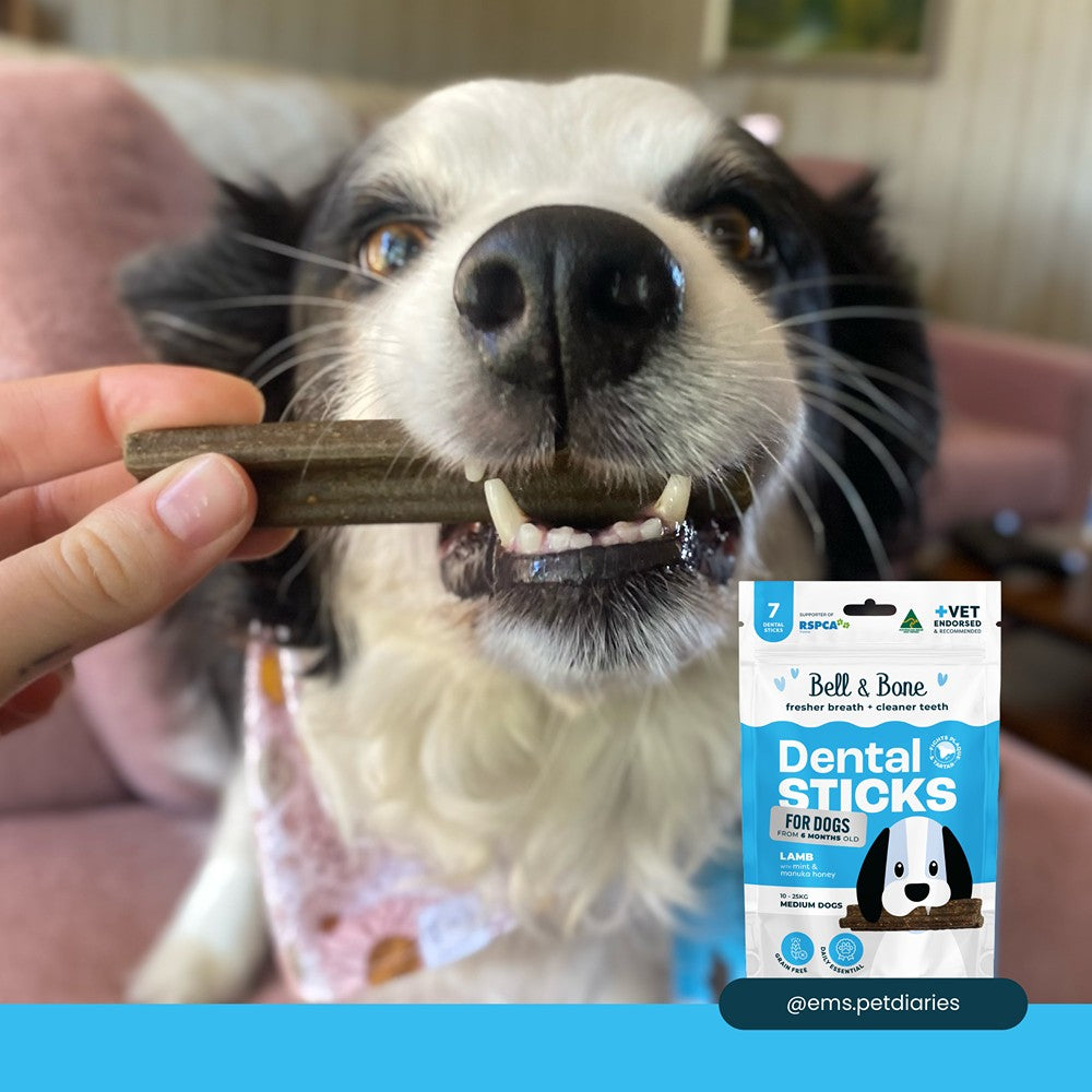 Bell & Bone Lamb Dental Stick 1pk