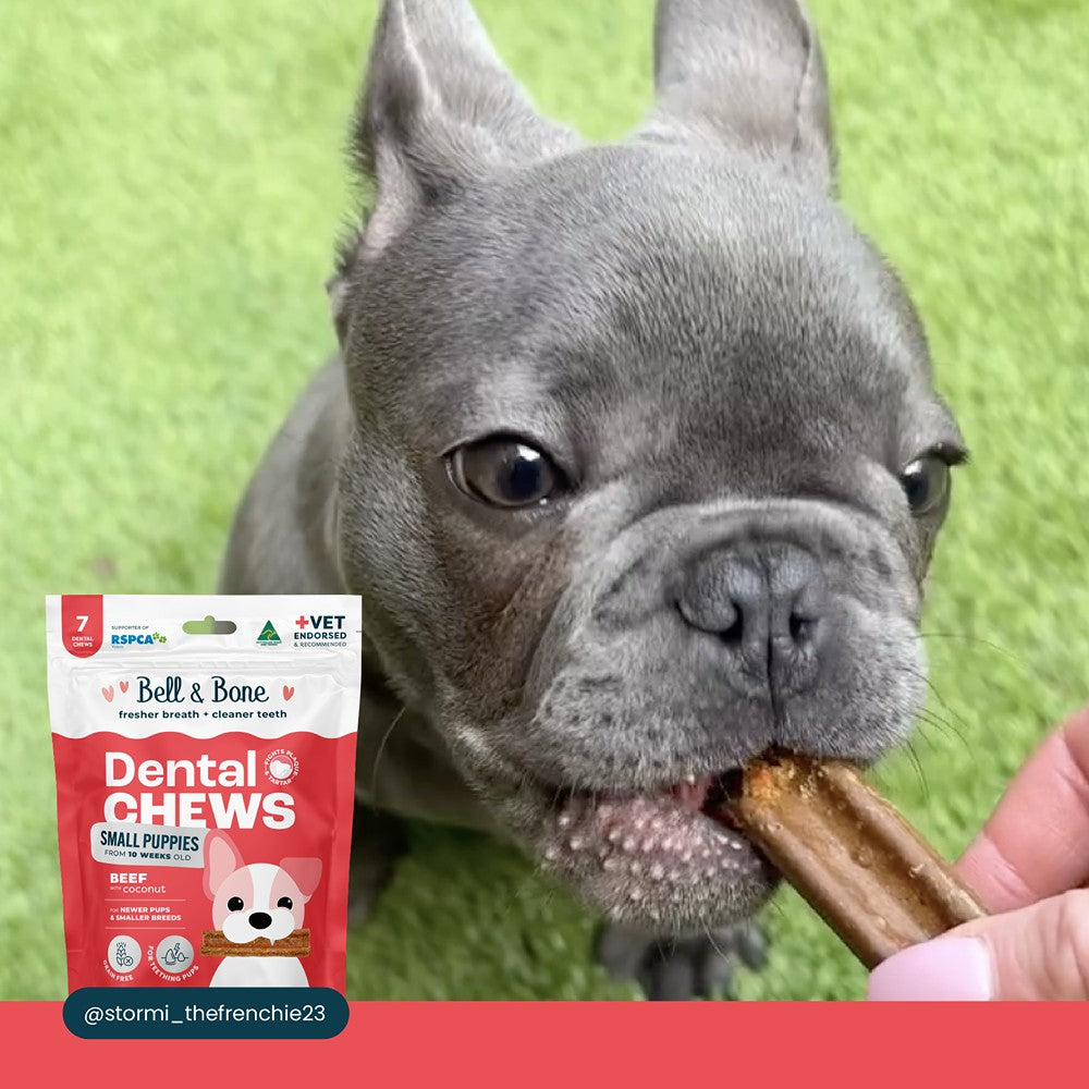 Bell & Bone Small Puppy Beef Dental Chews 7pk