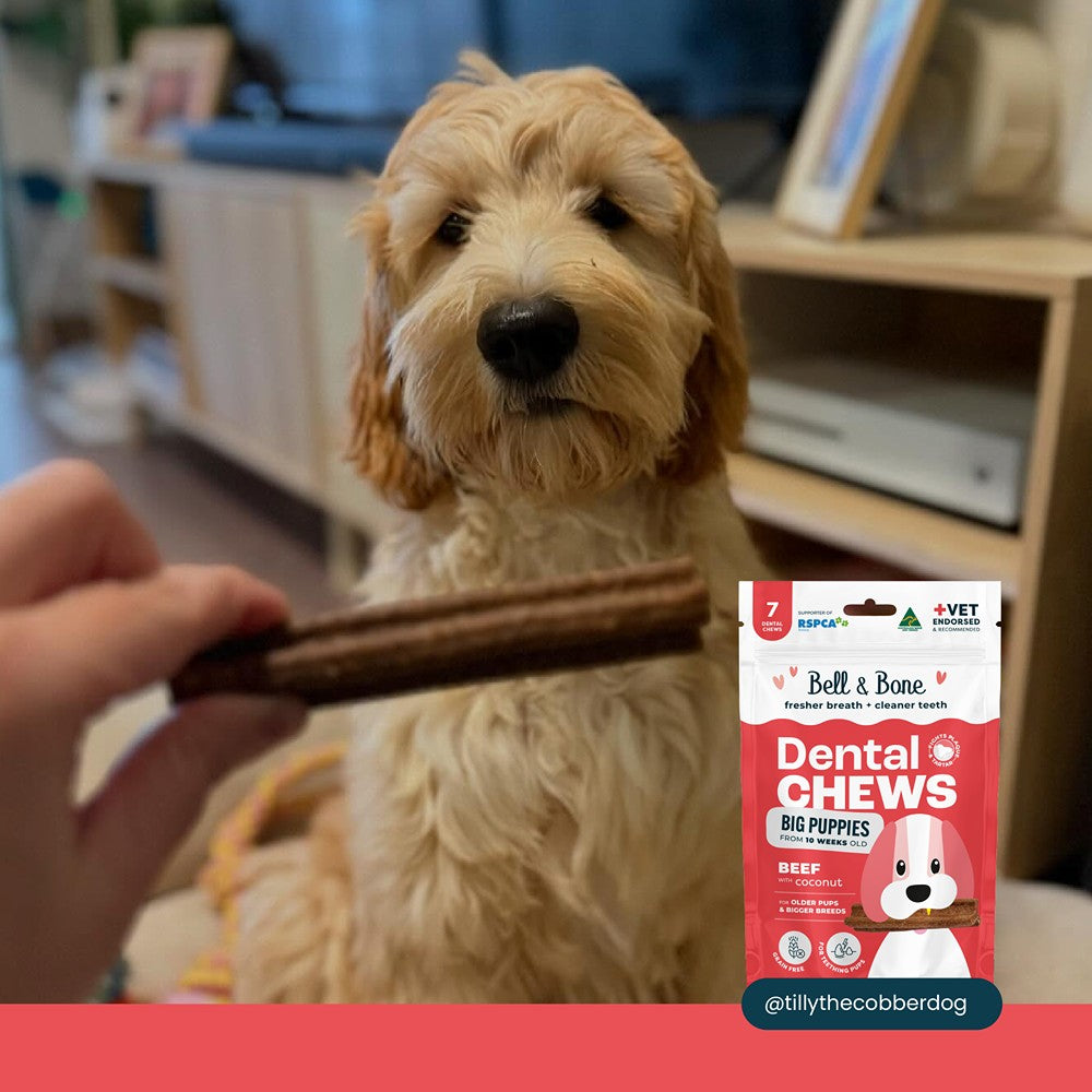 Bell & Bone Big Puppy Beef Dental Chews 7pk