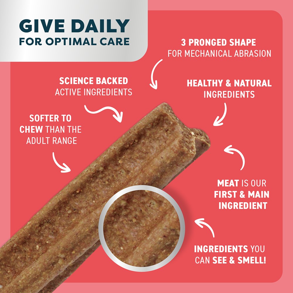 Bell & Bone Big Puppy Beef Dental Chews 7pk