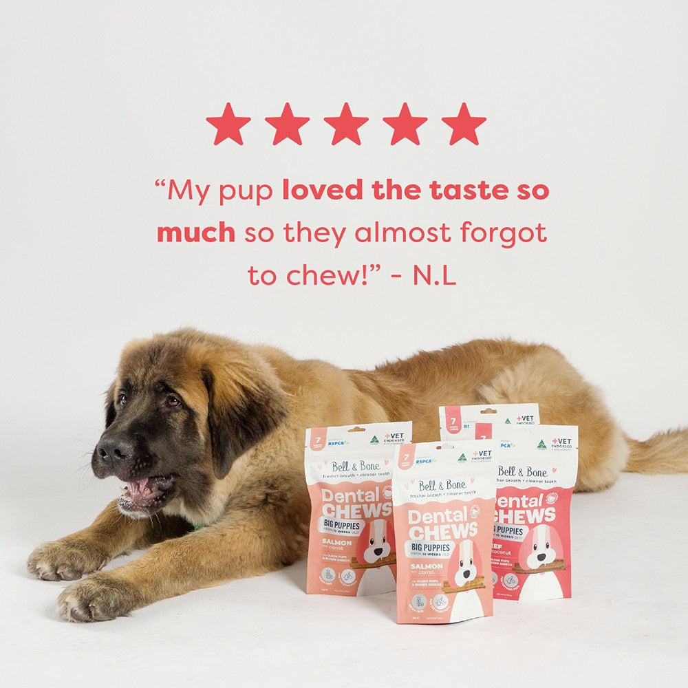 Bell & Bone Big Puppy Beef Dental Chews 7pk