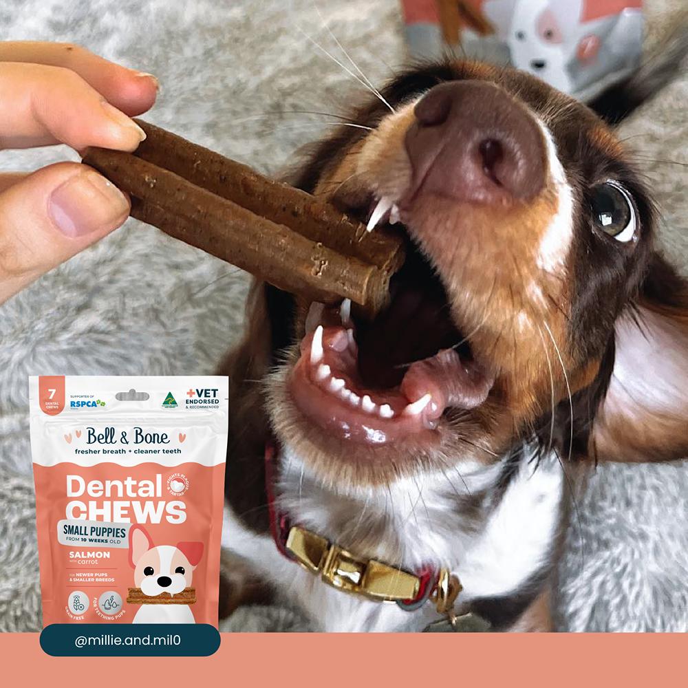Bell & Bone Small Puppy Salmon Dental Chews 7pk