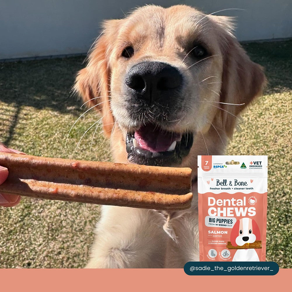Bell & Bone Big Puppy Salmon Dental Chews 7pk