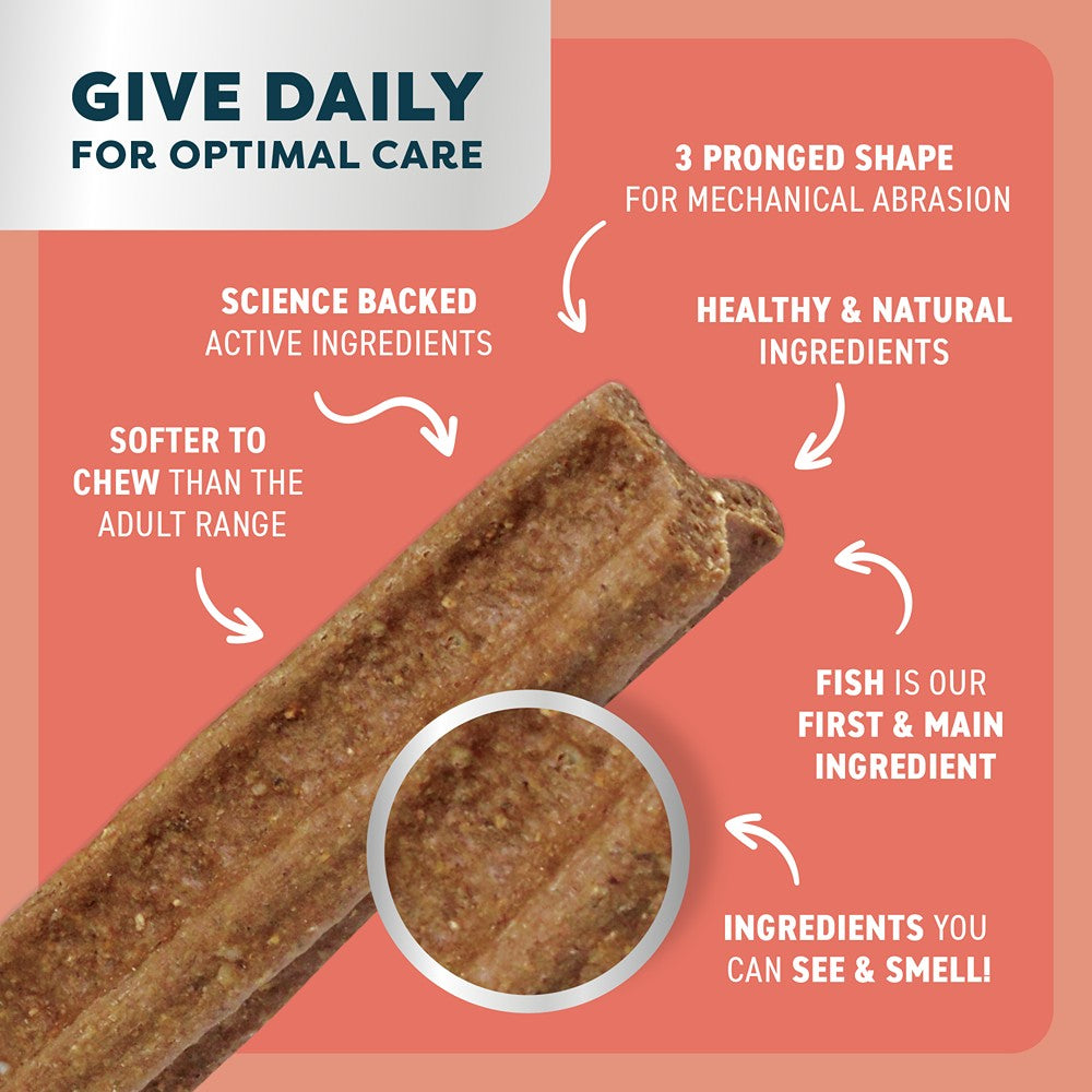 Bell & Bone Big Puppy Salmon Dental Chews 7pk