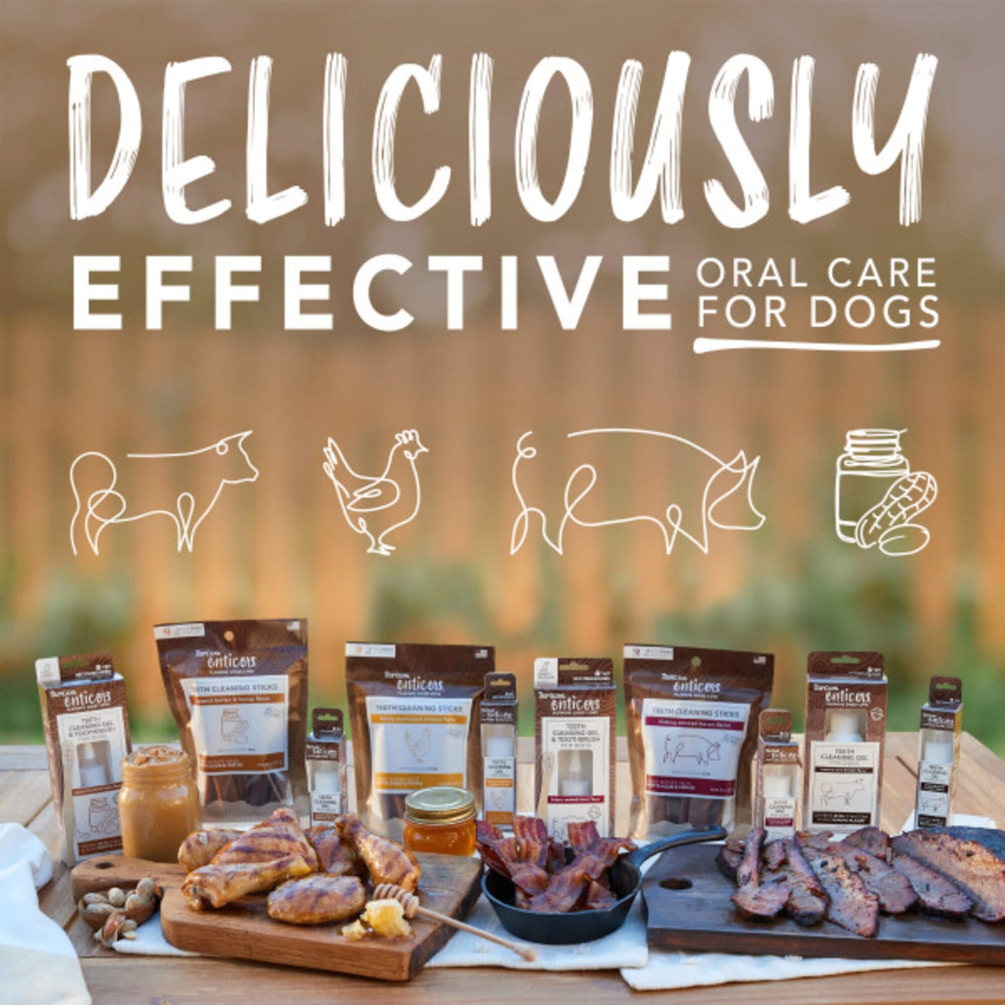 TropiClean Enticers Teeth Cleaning Gel Refills for Kong Dental Ball 3pk