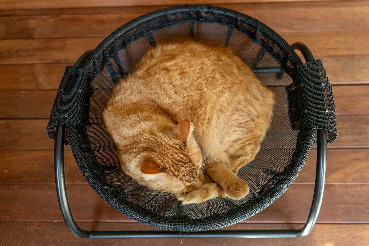 Catnets Skywalks Floor Hammock