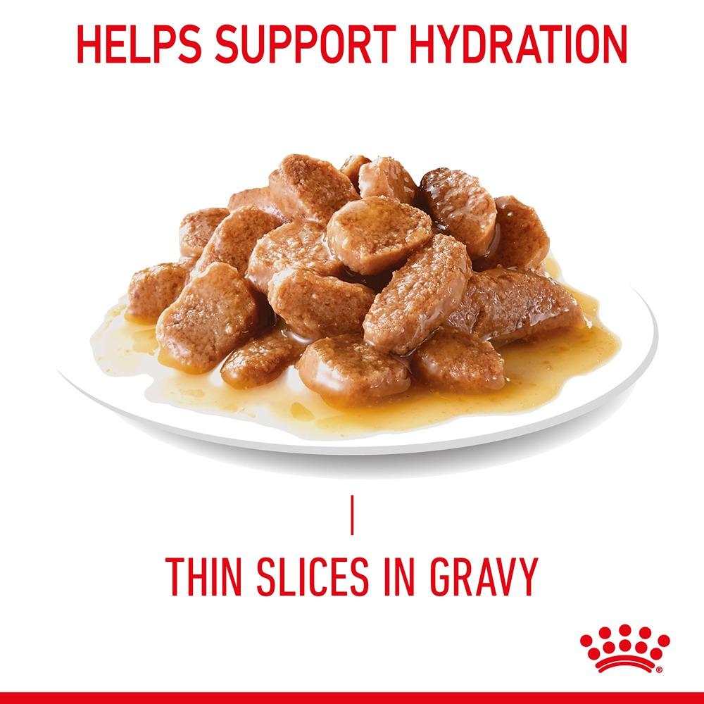 Royal Canin Appetite Control Gravy Adult Wet Cat Food Pouches