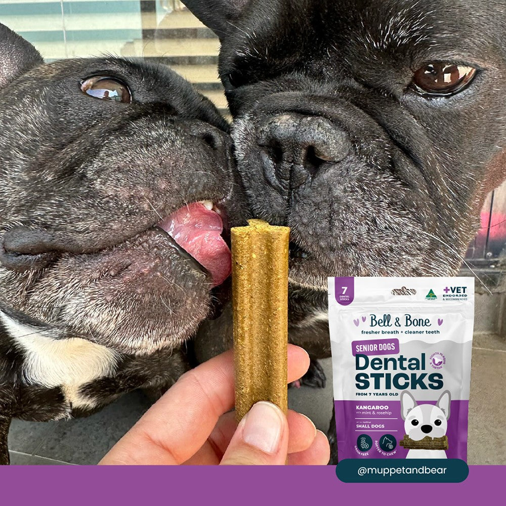 Bell & Bone Kangaroo Senior Dental Sticks Dog Treats